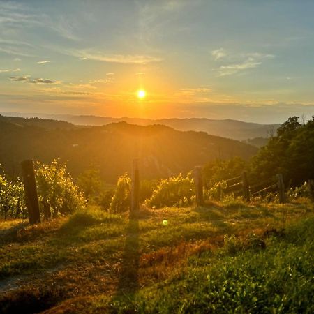 1929 Wine Food Relax Agriturismo Acqui Terme Exterior foto