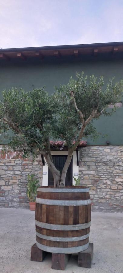1929 Wine Food Relax Agriturismo Acqui Terme Exterior foto