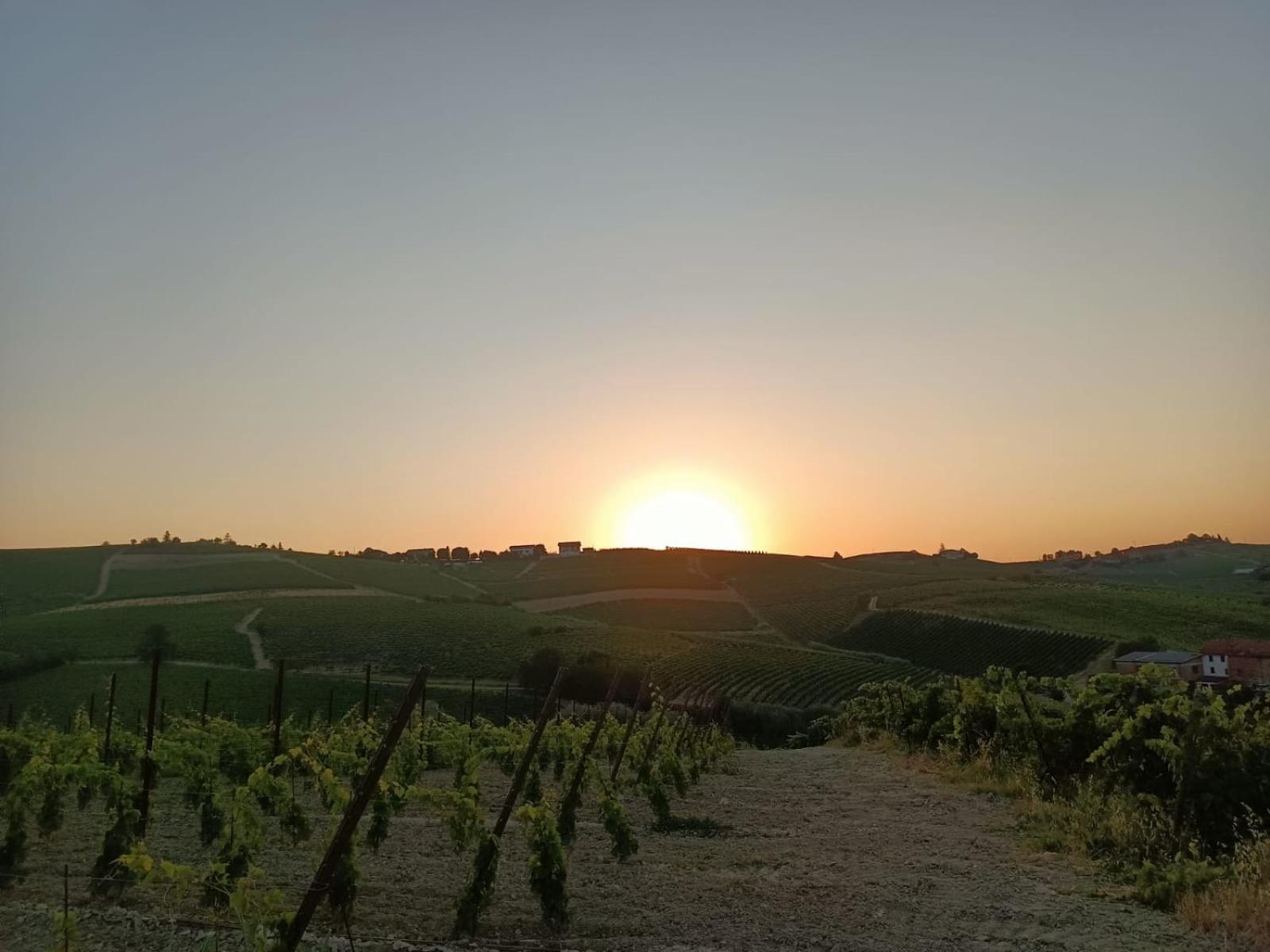 1929 Wine Food Relax Agriturismo Acqui Terme Exterior foto